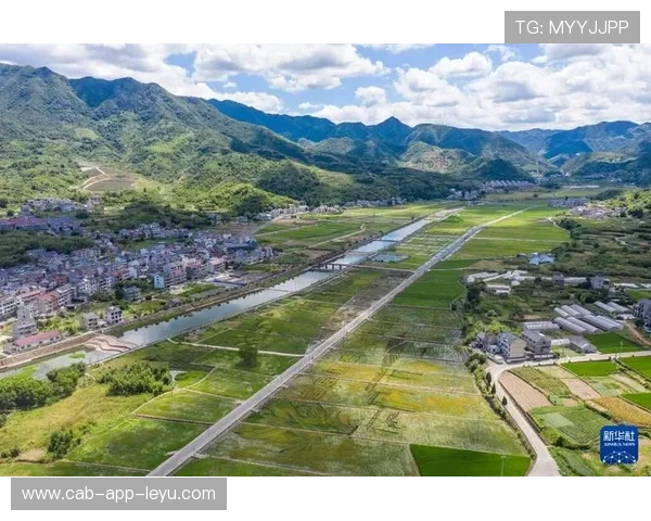 浙江整体配合持续提升