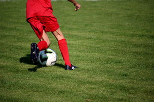 乐鱼体育官网注册-英超青训体系中情绪调节训练对青少年比赛焦虑的控制作用，英超青训球员定义